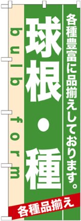 画像: のぼり旗　球根・種