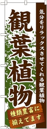 画像: 〔G〕 観葉植物　のぼり