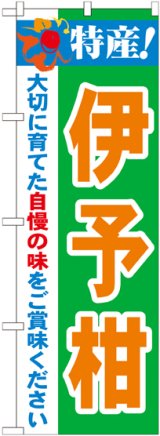 画像: 特産!伊予柑 のぼり