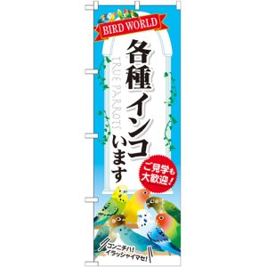 画像: のぼり旗　各種インコいます