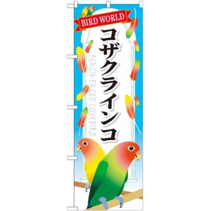 画像: のぼり旗　コザクラインコ