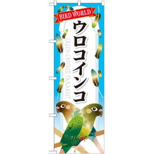 画像: のぼり旗　ウロコインコ