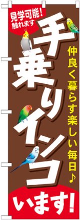 画像: のぼり旗　手乗りインコいます