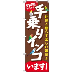 画像: のぼり旗　手乗りインコいます