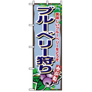 画像: のぼり旗　ブルーベリー狩り