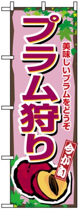 画像: のぼり旗　プラム狩り