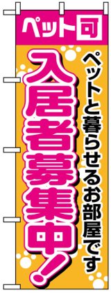 画像: のぼり旗　ペット可入居者募集中