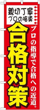 画像: 〔G〕 親切丁寧　プロの指導　合格　のぼり