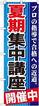 画像: 〔G〕 夏期集中講座　開催中　青　のぼり