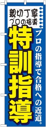 画像: 〔G〕 親切丁寧プロの指導　特訓指　のぼり