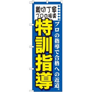 画像: 〔G〕 親切丁寧プロの指導　特訓指　のぼり