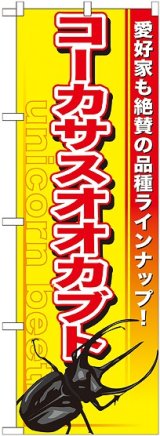 画像: 〔G〕 コーカサスオオカブト のぼり