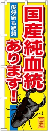 画像: 〔G〕 国産純血統あります のぼり