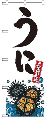 画像: 〔G〕 うに 産地直送 白 のぼり