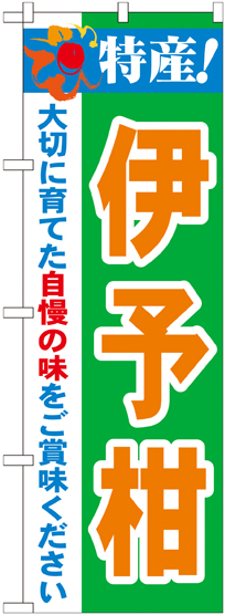 画像1: 特産!伊予柑 のぼり