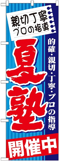 画像1: 〔G〕 親切丁寧 プロの指導 夏塾 のぼり