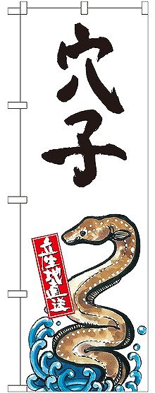 画像1: 〔G〕 穴子 産地直送 白 のぼり