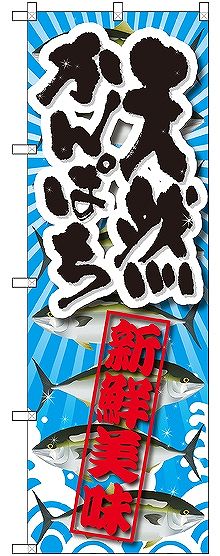 画像1: 〔G〕 天然かんぱち 新鮮美味 のぼり